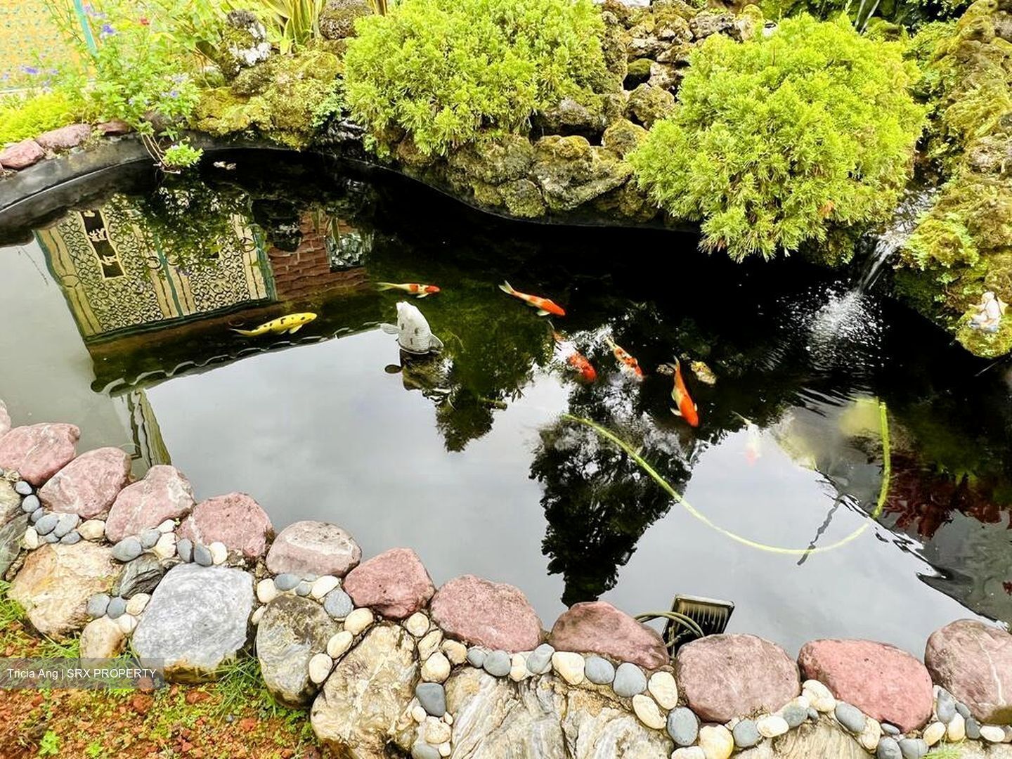 Bin Tong Park (D10), Detached #460160451